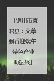 铜川市宜君县：艾草飘香迎端午 特色产业助振兴