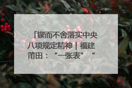 锲而不舍落实中央八项规定精神｜福建莆田：“一张表”“一张图”为基层减轻“数字负担”