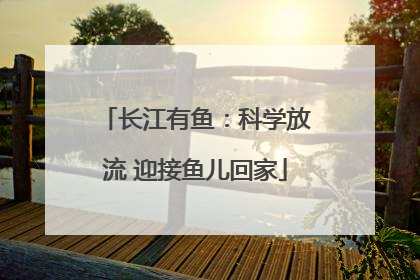 长江有鱼：科学放流 迎接鱼儿回家