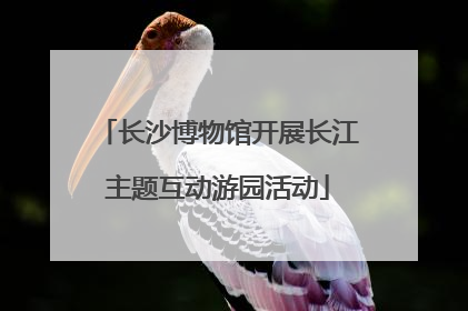 长沙博物馆开展长江主题互动游园活动