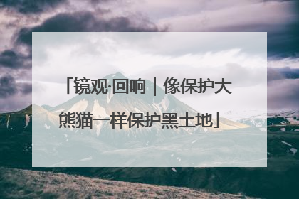 镜观·回响｜像保护大熊猫一样保护黑土地