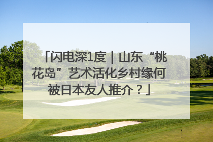 闪电深1度｜山东“桃花岛”艺术活化乡村缘何被日本友人推介？