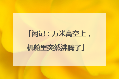 闲记：万米高空上，机舱里突然沸腾了