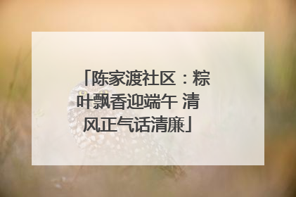 陈家渡社区：粽叶飘香迎端午 清风正气话清廉