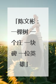 陈文彬：一棵树 一个庄 一块碑 一位英雄