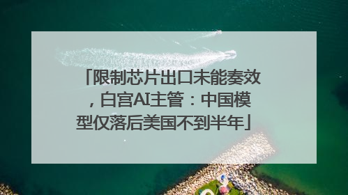 限制芯片出口未能奏效，白宫AI主管：中国模型仅落后美国不到半年