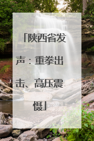 陕西省发声：重拳出击、高压震慑