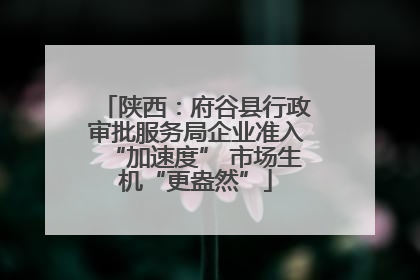 陕西：府谷县行政审批服务局企业准入“加速度” 市场生机“更盎然”