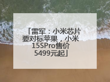雷军：小米芯片要对标苹果，小米15SPro售价5499元起