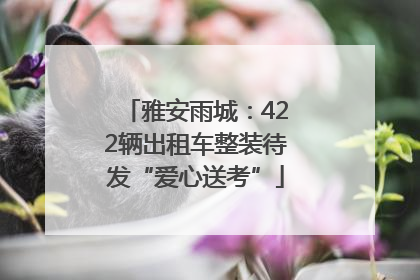 雅安雨城：422辆出租车整装待发“爱心送考”