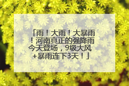 雨！大雨！大暴雨！河南真正的强降雨今天登场，9级大风+暴雨连下3天！