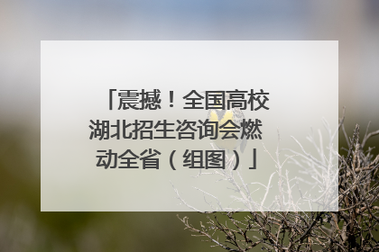震撼！全国高校湖北招生咨询会燃动全省（组图）