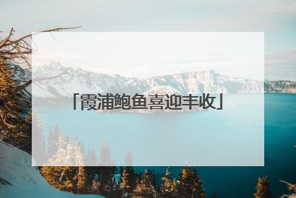 霞浦鲍鱼喜迎丰收
