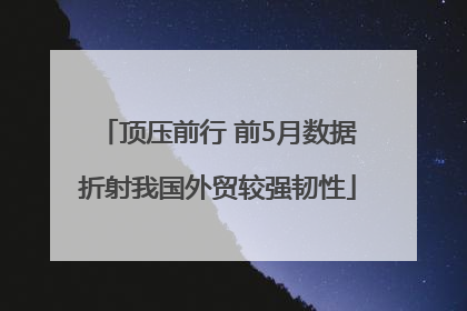 顶压前行 前5月数据折射我国外贸较强韧性