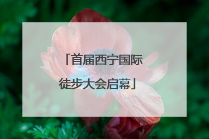 首届西宁国际徒步大会启幕