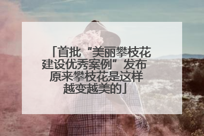 首批“美丽攀枝花建设优秀案例”发布 原来攀枝花是这样越变越美的