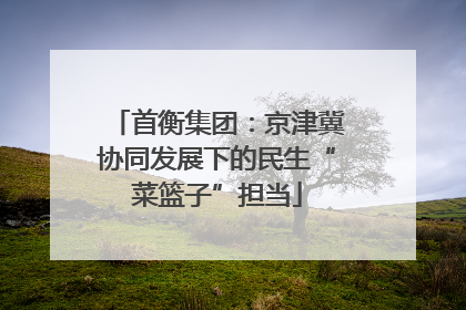 首衡集团：京津冀协同发展下的民生“菜篮子”担当