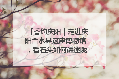 香约庆阳｜走进庆阳合水县这座博物馆，看石头如何讲述陇东千年历史