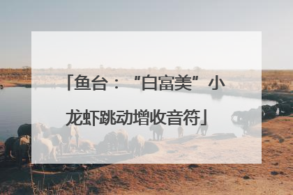 鱼台：“白富美”小龙虾跳动增收音符