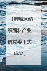 鲤城区纺织面料产业链党委正式成立
