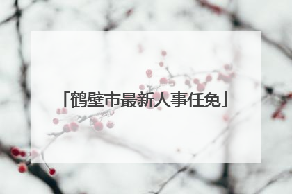 鹤壁市最新人事任免