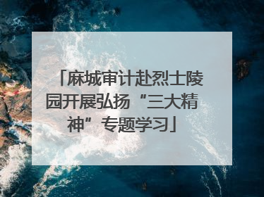 麻城审计赴烈士陵园开展弘扬“三大精神”专题学习