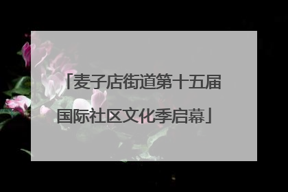 麦子店街道第十五届国际社区文化季启幕