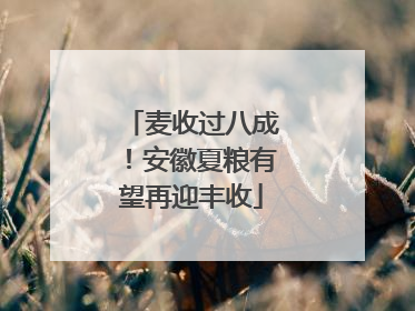 麦收过八成！安徽夏粮有望再迎丰收