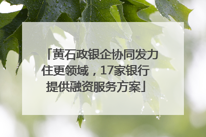 黄石政银企协同发力住更领域，17家银行提供融资服务方案