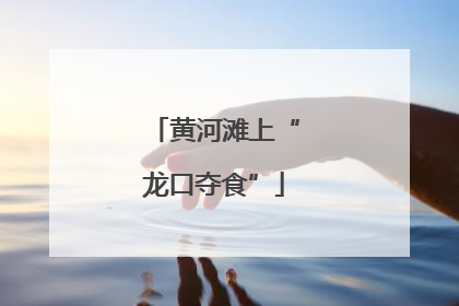 黄河滩上“龙口夺食”
