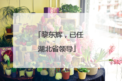 黎东辉，已任湖北省领导