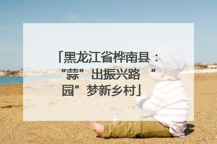 黑龙江省桦南县：“蒜”出振兴路 “园”梦新乡村