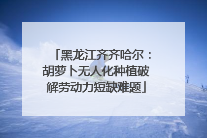 黑龙江齐齐哈尔：胡萝卜无人化种植破解劳动力短缺难题