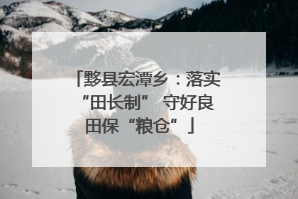 黟县宏潭乡：落实“田长制” 守好良田保“粮仓”