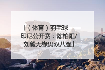 （体育）羽毛球——印尼公开赛：陈柏阳/刘毅无缘男双八强