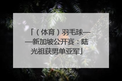（体育）羽毛球——新加坡公开赛：陆光祖获男单亚军