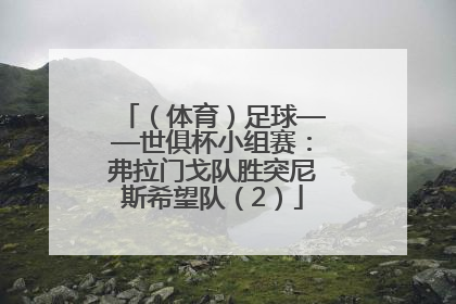 （体育）足球——世俱杯小组赛：弗拉门戈队胜突尼斯希望队（2）
