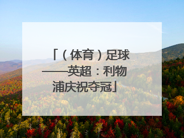 （体育）足球——英超：利物浦庆祝夺冠