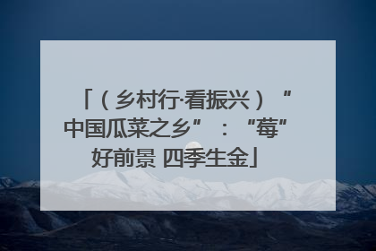 （乡村行·看振兴）“中国瓜菜之乡”：“莓”好前景 四季生金
