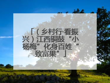 （乡村行·看振兴）江西铜鼓“小杨梅”化身百姓“致富果”