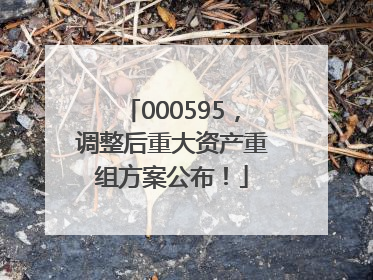 000595，调整后重大资产重组方案公布！