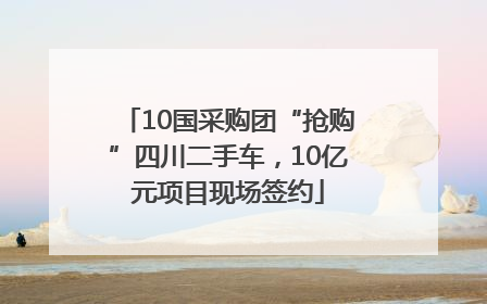 10国采购团“抢购”四川二手车，10亿元项目现场签约