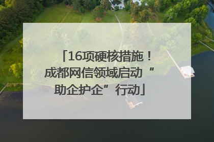 16项硬核措施！成都网信领域启动“助企护企”行动