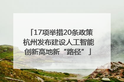 17项举措20条政策 杭州发布建设人工智能创新高地新“路径”
