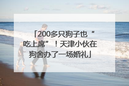 200多只狗子也“吃上席”！天津小伙在狗舍办了一场婚礼