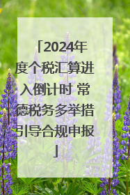 2024年度个税汇算进入倒计时 常德税务多举措引导合规申报