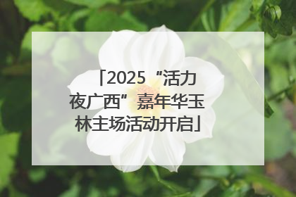 2025“活力夜广西”嘉年华玉林主场活动开启