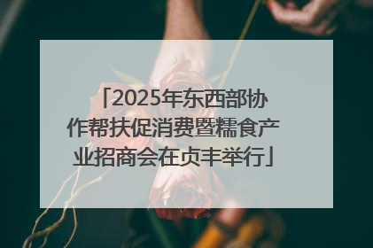 2025年东西部协作帮扶促消费暨糯食产业招商会在贞丰举行