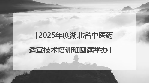 2025年度湖北省中医药适宜技术培训班圆满举办