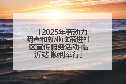 2025年劳动力调查和就业政策进社区宣传服务活动·临沂站 顺利举行